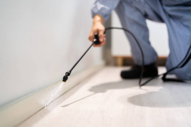 Licensed Termite Control service in Nashville, AR - Show Me Pest Control